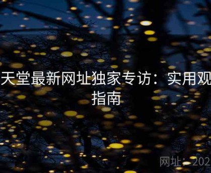 博天堂最新网址独家专访：实用观赛指南