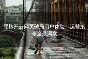 硬核开云网页破局用户体验：运营策略全景洞察