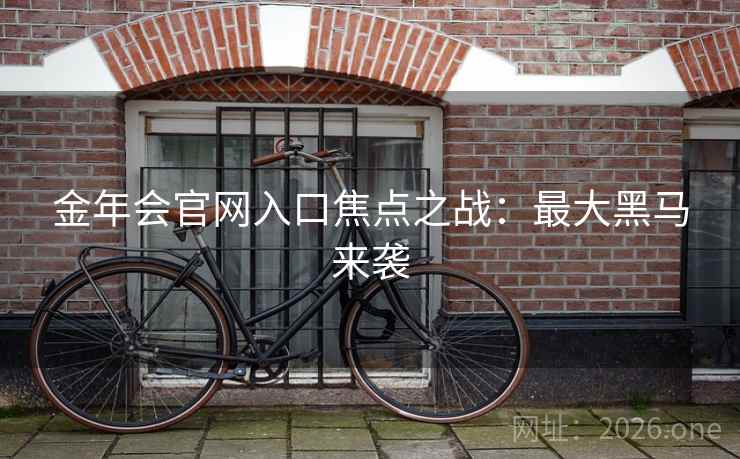 金年会官网入口焦点之战：最大黑马来袭