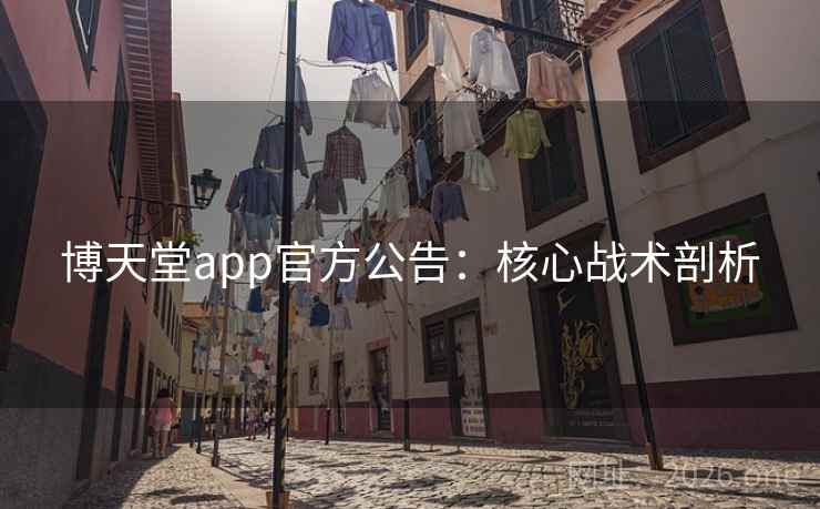博天堂app官方公告：核心战术剖析
