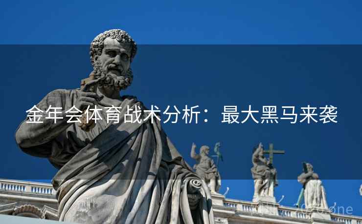 金年会体育战术分析：最大黑马来袭