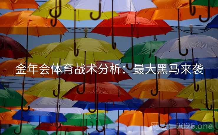 金年会体育战术分析：最大黑马来袭