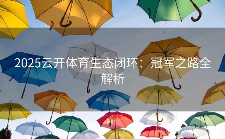 2025云开体育生态闭环：冠军之路全解析