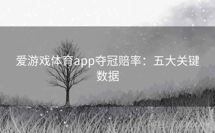 爱游戏体育app夺冠赔率：五大关键数据