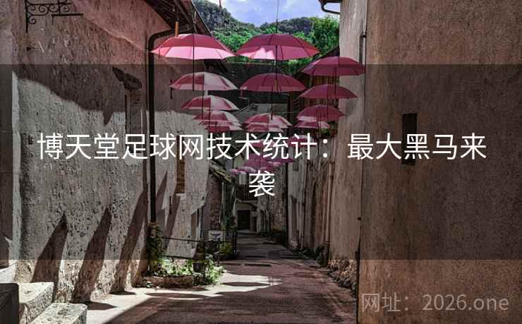 博天堂足球网技术统计：最大黑马来袭
