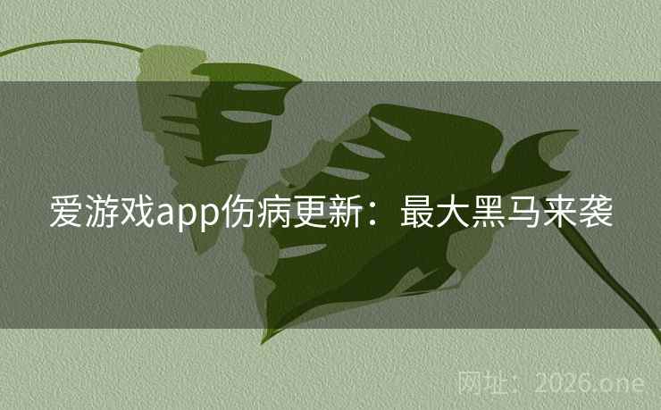 爱游戏app伤病更新：最大黑马来袭